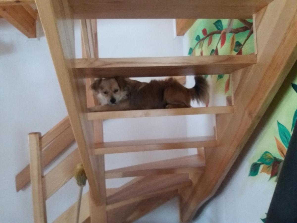 Domek Jaska Baligród المظهر الخارجي الصورة